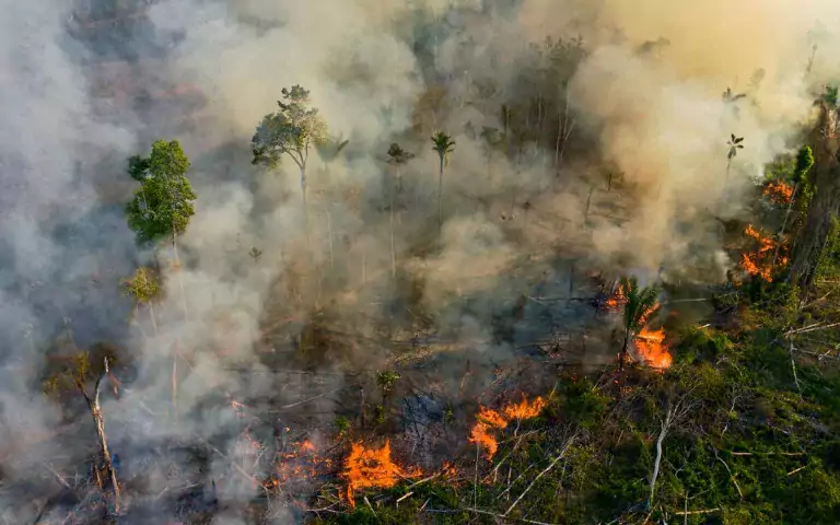 Hacia 2050 podríamos perder casi la mitad del Amazonas 9 Hacia 2050 podríamos perder casi la mitad del Amazonas