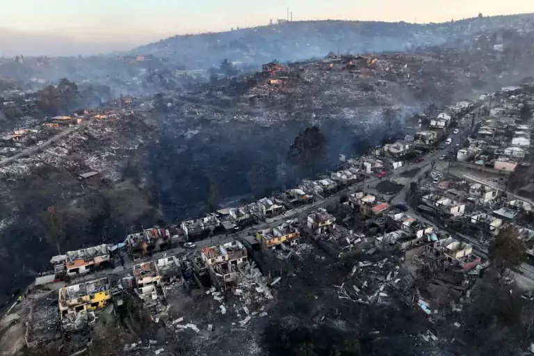 Incendios en Chile: monocultivos forestales e industria inmobiliaria 9 Incendios en Chile: monocultivos forestales e industria inmobiliaria