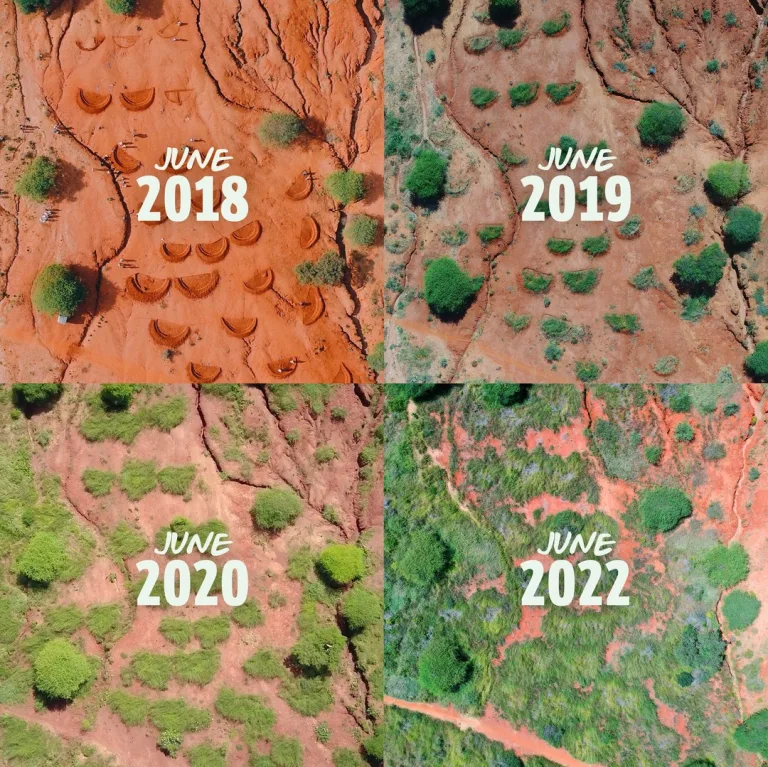 Tras 4 años, África reverdece 10 Tras 4 años, África reverdece