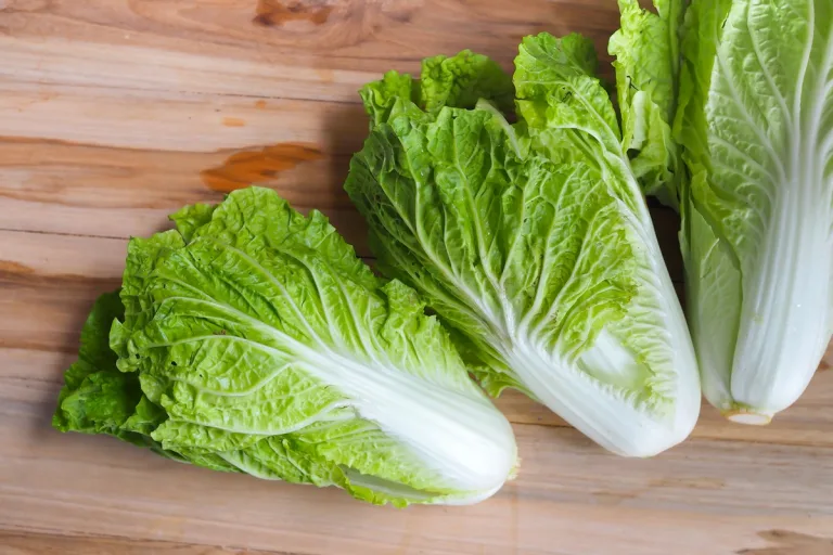 Los 5 alimentos más saludables del planeta 7 Los 5 alimentos más saludables del planeta