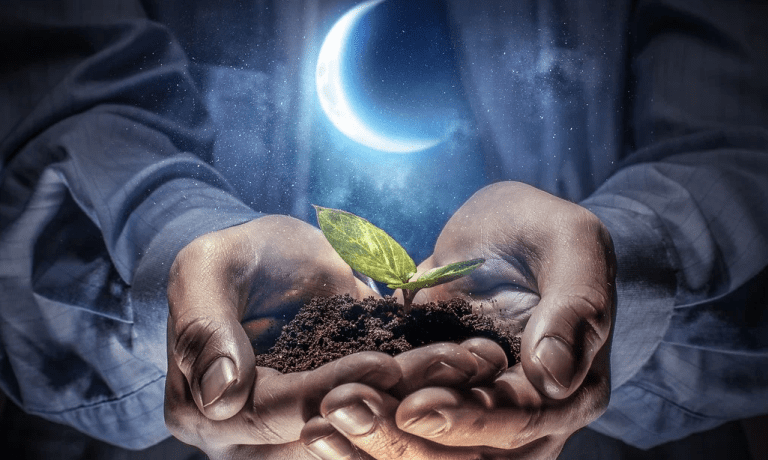 Cómo cultivar con las fases de la luna 8 Cómo cultivar con las fases de la luna
