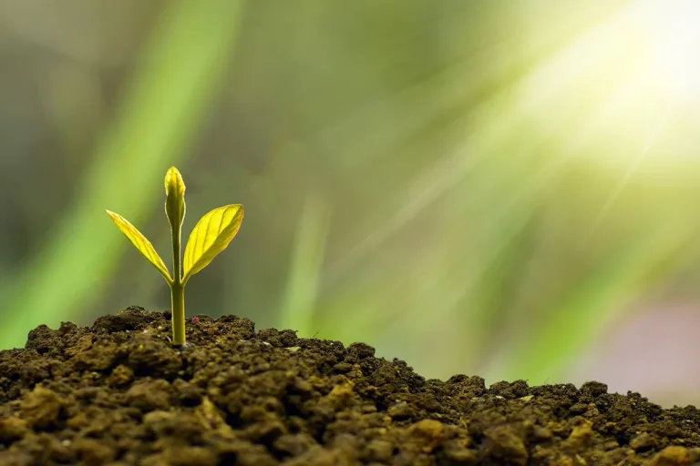 Invertir con conciencia ambiental: Guía para un futuro sostenible 8 Invertir con conciencia ambiental: Guía para un futuro sostenible