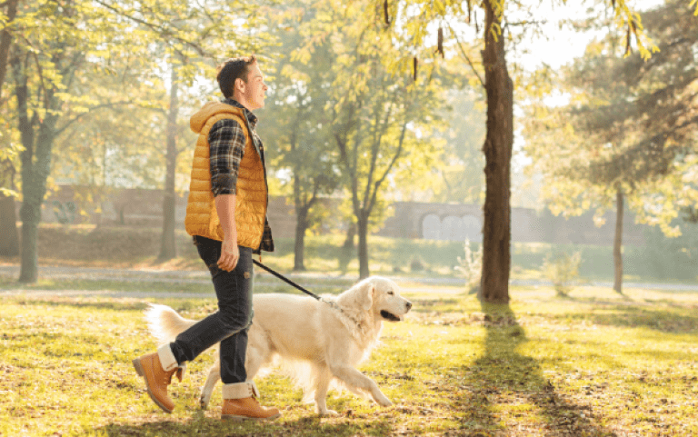 Esto le pasa a tu perro sino lo sacas a pasear 3 Esto le pasa a tu perro sino lo sacas a pasear