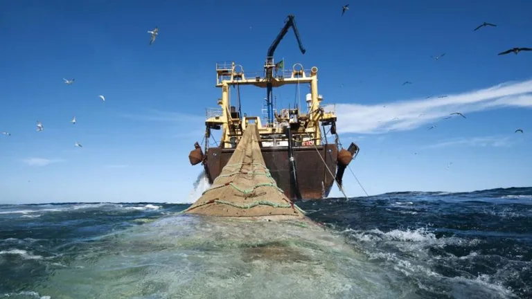 La pesca de arrastre en el océano puede liberar carbono encerrado