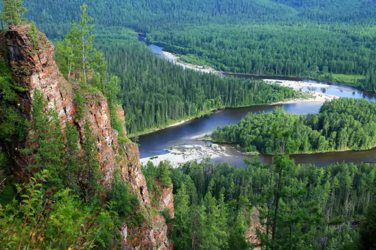 ¿Un bosque más grande que el Amazonas? 9 ¿Un bosque más grande que el Amazonas?