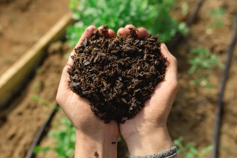 Bokashi, el abono orgánico ideal 6 Bokashi, el abono orgánico ideal