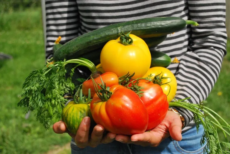 Cómo crear un huerto sostenible en tu hogar 3 Cómo crear un huerto sostenible en tu hogar