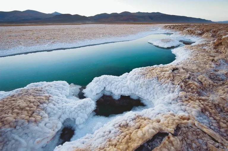 Litio: cinco mineras concentran un millón de hectáreas de salares en Argentina
