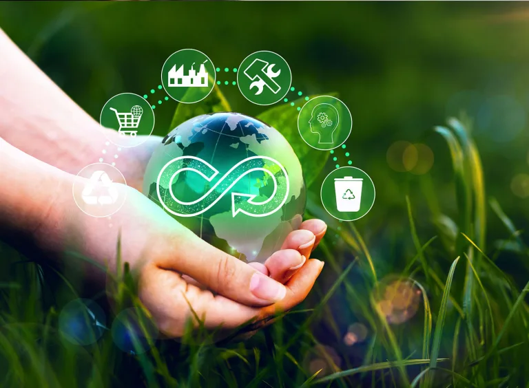 Por qué es importante adoptar una economía circular 8 Por qué es importante adoptar una economía circular