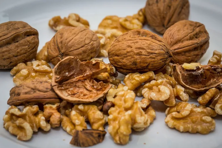 Las Nueces y el Alzheimer: Una Relación Prometedora 1 Las Nueces y el Alzheimer: Una Relación Prometedora