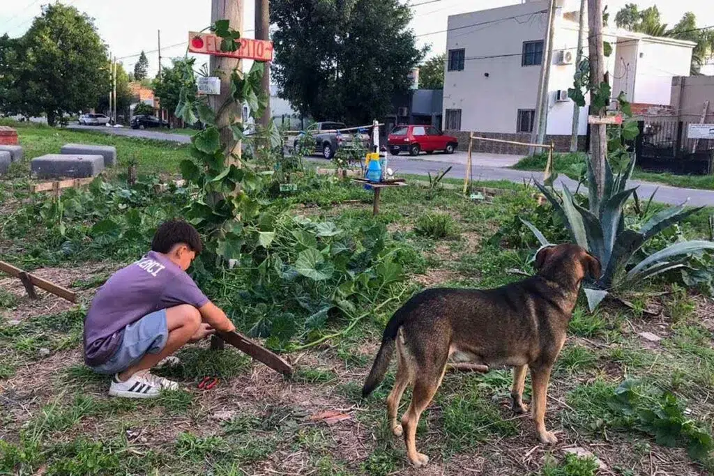 Huertos comunitarios donde ser rebelde es plantar una semilla 3 huertos comunitarios
