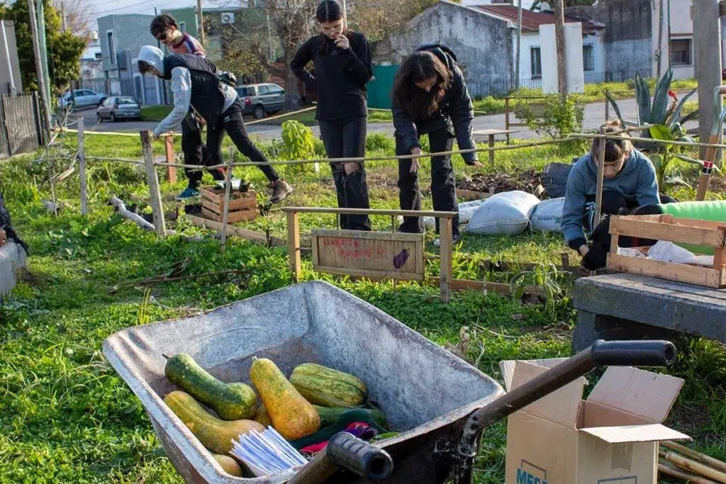 Huertos comunitarios donde ser rebelde es plantar una semilla 2 huertos comunitarios