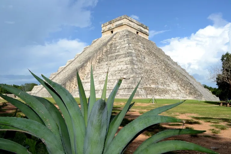 Situación Ambiental de México 2024 1 Situación Ambiental de México 2024