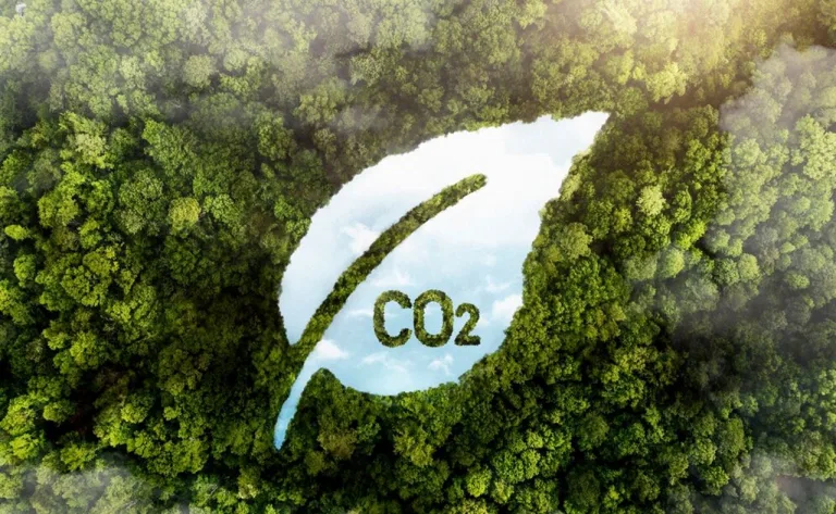 5 formas de reducir la huella de carbono en carretera 3 5 formas de reducir la huella de carbono en carretera