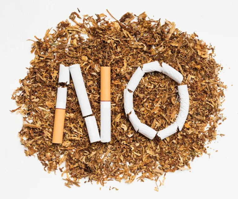 Qué nos dejó el Día Mundial sin Tabaco: Educación clave sobre el cáncer pulmonar y enfermedades cardiovasculares 1 Qué nos dejó el Día Mundial sin Tabaco: Educación clave sobre el cáncer pulmonar y enfermedades cardiovasculares
