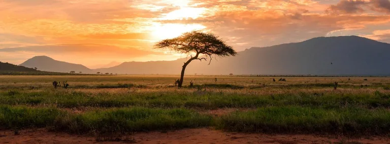 Día Mundial del Ambiente 2024, ecosistemas en peligro 4 Día Mundial del Ambiente 2024, ecosistemas en peligro