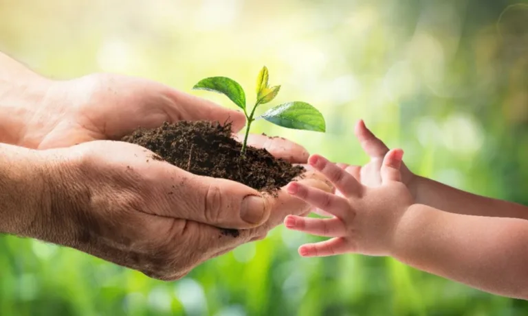 Aprende sobre el medio ambiente con los cursos de Euroinnova 5 Aprende sobre el medio ambiente con los cursos de Euroinnova
