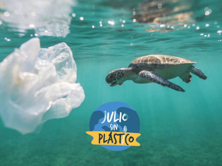 #JulioSinPlástico: Reduciendo nuestro impacto ambiental 7 #JulioSinPlástico: Reduciendo nuestro impacto ambiental