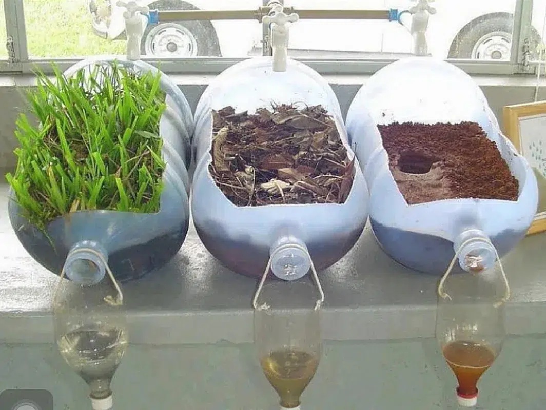 Plantas purificadoras de agua: mejorando la calidad del agua a escala familiar 2 purificación de agua