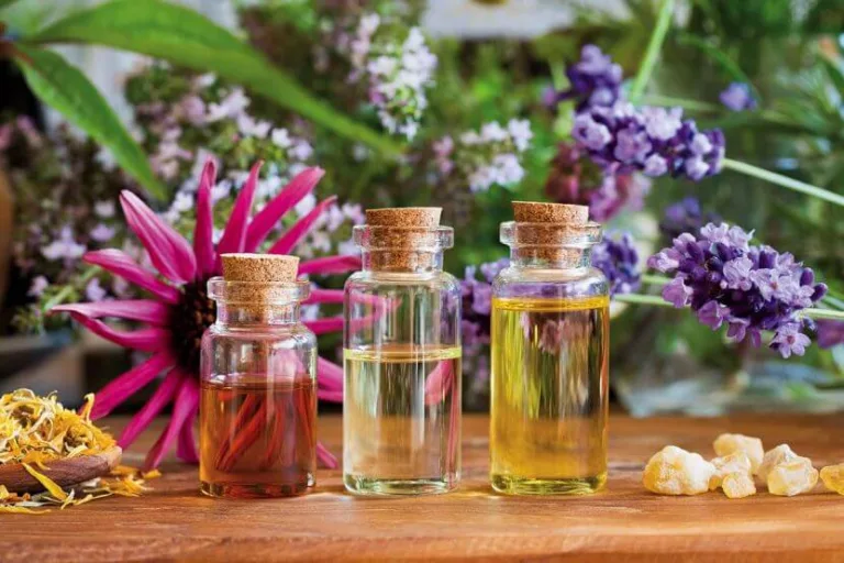 La importancia de los aceites esenciales en el ecosistema 2 La importancia de los aceites esenciales en el ecosistema