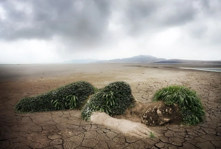 Ecoportal.net: Un Faro de Sostenibilidad y Consciencia Ambiental 9 Ecoportal.net: Un Faro de Sostenibilidad y Consciencia Ambiental