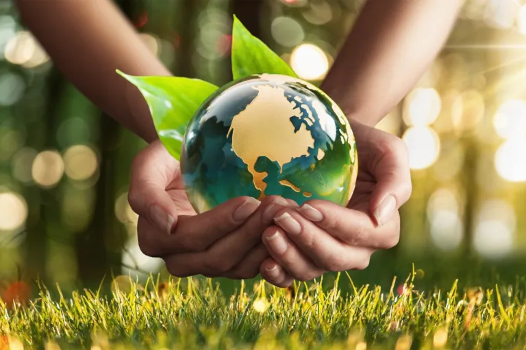 Día de la Sobrecapacidad de la Tierra
