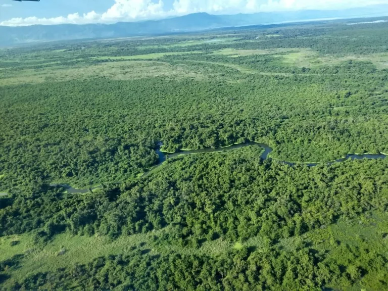 "La sostenibilidad es parte de nuestra estrategia de negocio": NaturAceites en Guatemala 3 «La sostenibilidad es parte de nuestra estrategia de negocio»: NaturAceites en Guatemala
