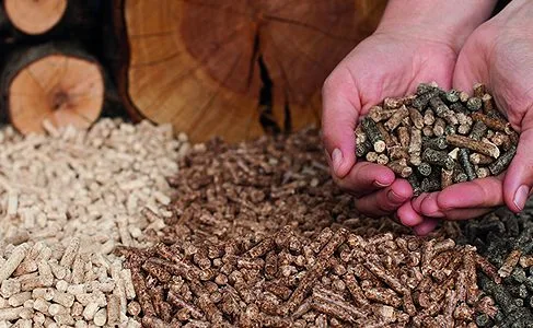 Transformación de residuos de la producción de aceitunas en madera y fertilizantes 2 aceitunas