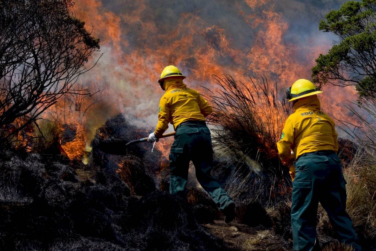 Incendios moderados pasados, reducen incendios graves futuros 2 quema