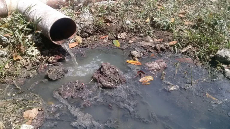 Agua contaminada por la industria: innovador método para purificarla 1 Agua contaminada por la industria: innovador método para purificarla