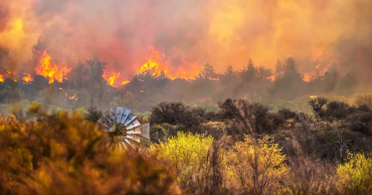 Zona de desastre: Incendios en Córdoba, 20 mil hectáreas quemadas 2 incendios en Córdoba