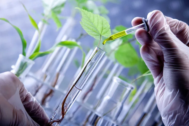 Químicos Verdes: Alquimistas de un futuro más limpio 1 Químicos Verdes: Alquimistas de un futuro más limpio