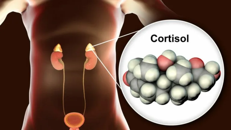 Cómo desintoxicarnos de cortisol: 4 hábitos esenciales para lograrlo 10 Cómo desintoxicarnos de cortisol: 4 hábitos esenciales para lograrlo
