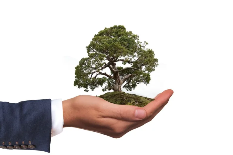 Inversor Responsable Ambientalmente: ¿Qué significa? 2 Inversor Responsable Ambientalmente: ¿Qué significa?