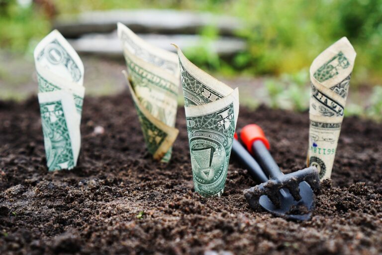 Préstamos para pequeñas empresas en San Antonio: un camino hacia el crecimiento sostenible 10 Préstamos para pequeñas empresas en San Antonio: un camino hacia el crecimiento sostenible