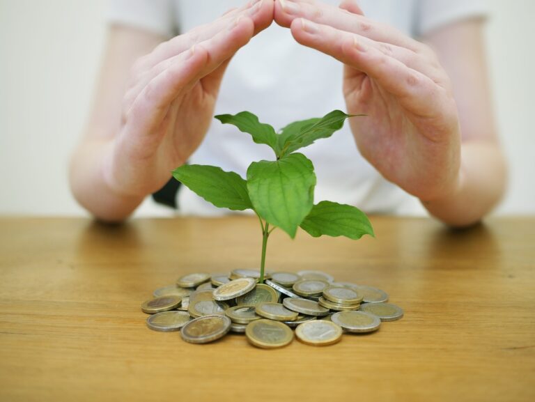 Financiamiento verde: Los préstamos al instante como impulsores de proyectos sostenibles 7 Financiamiento verde: Los préstamos al instante como impulsores de proyectos sostenibles
