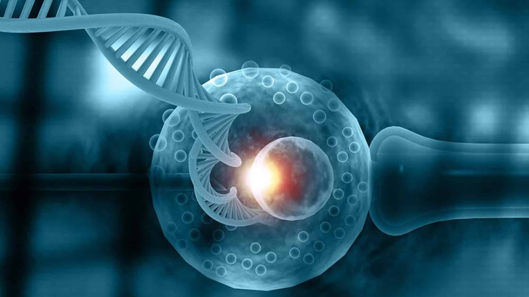 Congreso avanza en modificación de la Ley General de Salud, incorporarán la reproducción asistida