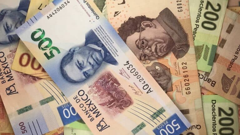Nuevo pago de Bienestar: $1215 en marzo para este grupo de personas 8 Nuevo pago de Bienestar: $1215 en marzo para este grupo de personas