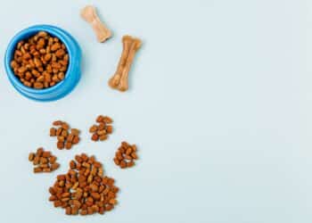 alimentación sostenible para mascotas