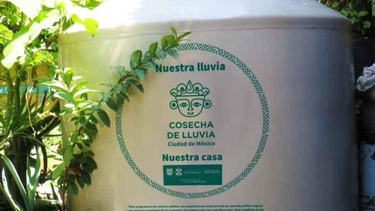 Programa Cosecha de Lluvia CDMX: De qué se trata y cómo inscribirte en 2025 7 Programa Cosecha de Lluvia CDMX: De qué se trata y cómo inscribirte en 2025