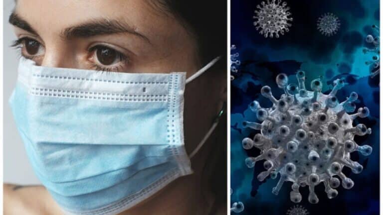 Confirman primera muerte por gripe aviar en México