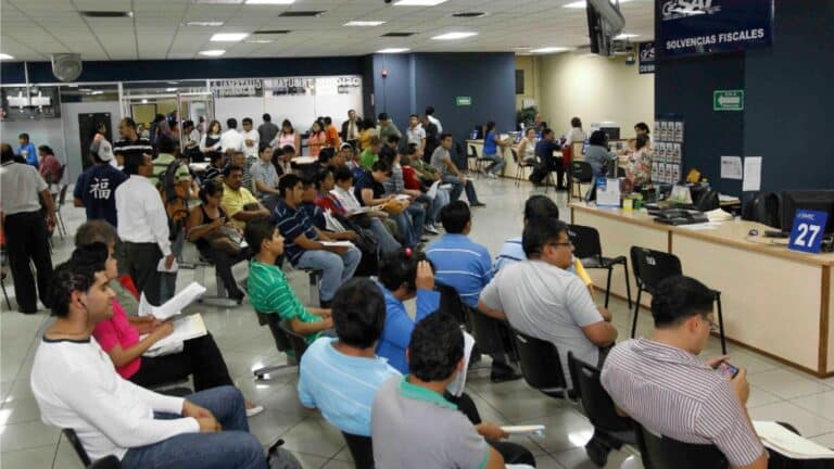 SAT rechaza cientos de devoluciones de impuestos: Este es el principal motivo