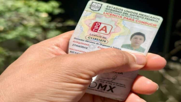 Licencia permanente