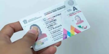 Licencia de conducir