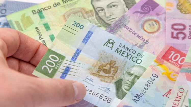 Bienestar Adultos Mayores
