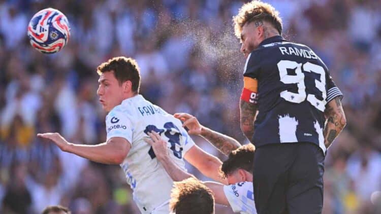 Rayados.