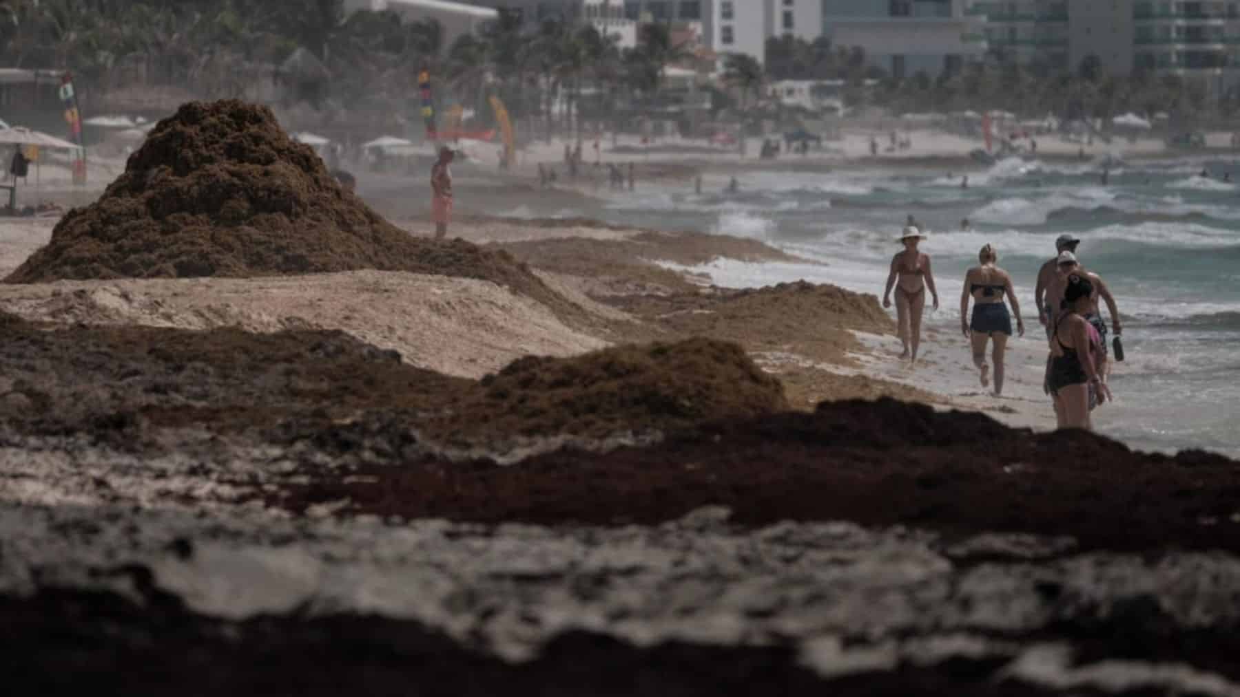 México convertirá un problema de miles de toneladas: En una solución de millones de pesos