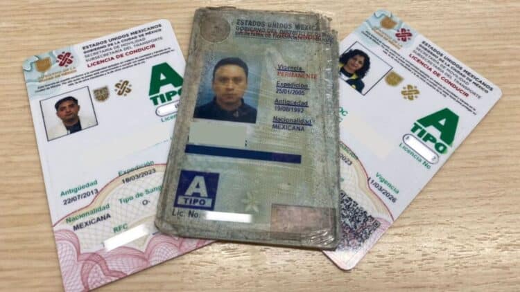 Licencia de conducir permanente