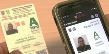 Licencia de conducir