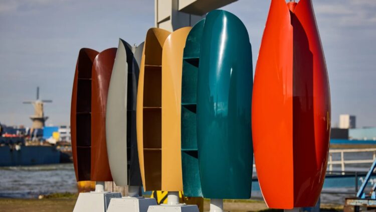 Querrás estas flores en tu casa: Dirás adiós a las altas facturas de luz de la CFE 1 Flores